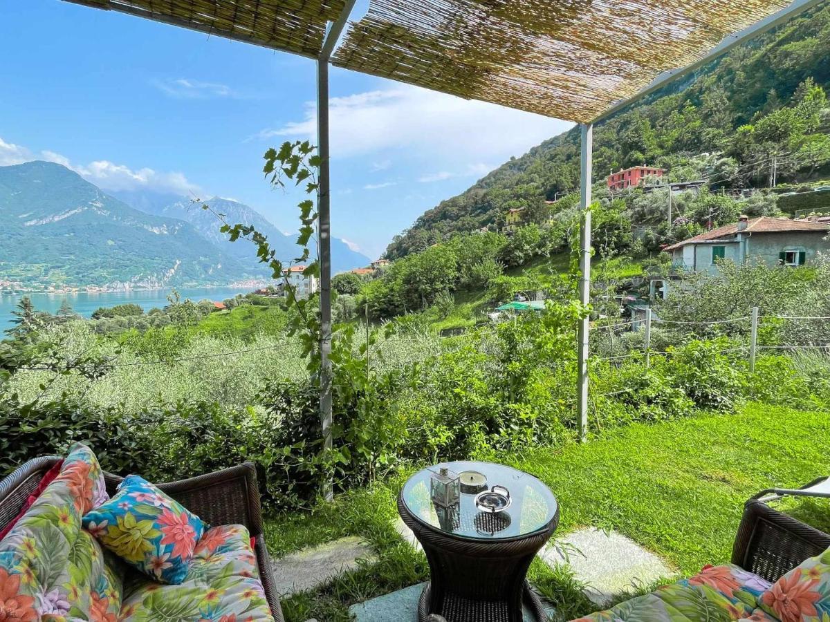 Antico Torchio Apartment Limonta Esterno foto