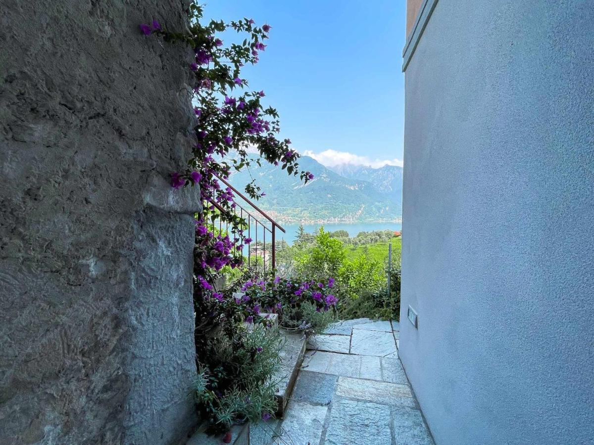 Antico Torchio Apartment Limonta Esterno foto